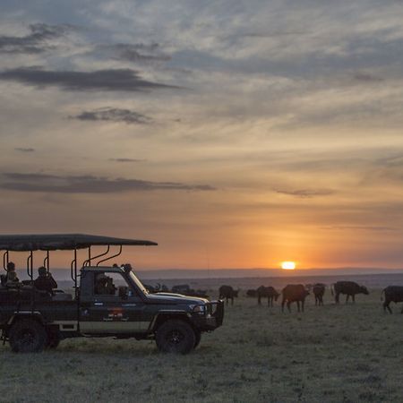 Elephant Pepper Camp Masai Mara Kültér fotó
