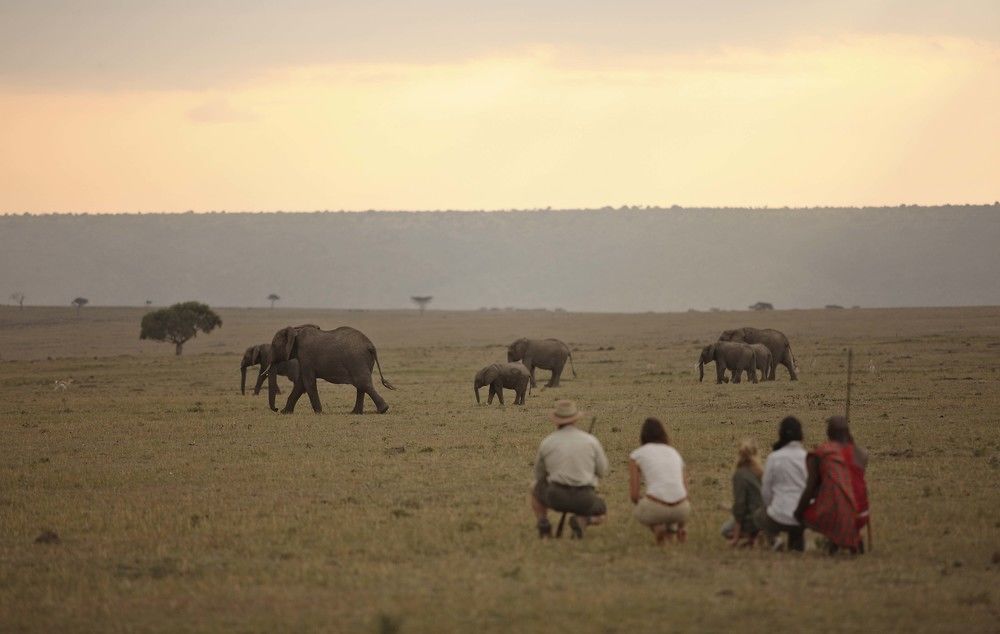 Elephant Pepper Camp Masai Mara Kültér fotó